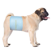 Flying Paws disposable male dog belly band with wetness indicator for quick diaper change