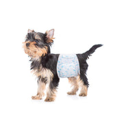 Flying Paws male dog diapers pack 60pcs for on-the-go protection