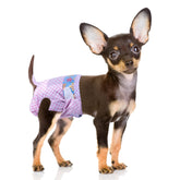 Flying Paws: pañales desechables para mascotas femeninas en celo con indicador de humedad.