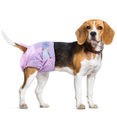 Pañales Flying Paws para perra hembra: protección diaria y comodidad.