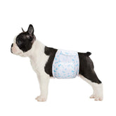 Flying Paws small male dog diaper packaging shows a 52-count value pack for daily use