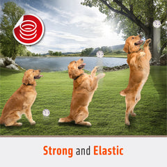 FOFOS dog balls are 2.75-inch diameter for comfortable grip during fetch