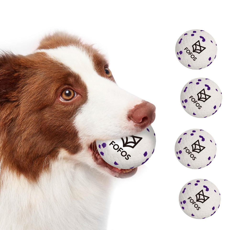 FOFOS dog balls floating in water show easy pool play and cleanup