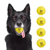 FOFOS dog balls close-up shows 3D surface for dental massage and cleaning.