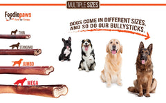FOODIEPAWS odor-free bully sticks—mess-free treat for dogs