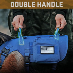Forestpaw bungee leash close-up highlighting shock-absorbing design for smooth pulls.