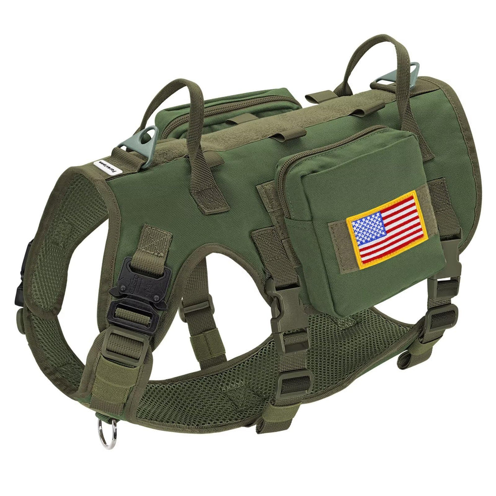 Forestpaw dog harness front view green shows secure fit for active outings