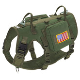 Forestpaw mid-size green harness front view, showcasing secure fit for medium to large dogs
