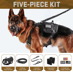 Forestpaw tactical collar with foldable handle and quick-release buckle for safe close-control