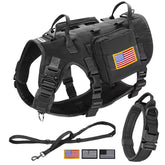 Forestpaw tactical harness on a large dog showing front D-ring for no-pull control during walks