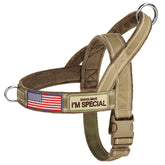 Forestpaw no-pull-harness-large-handle provides secure control during walks.