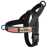 Forestpaw no-pull harness with large handle for secure control.