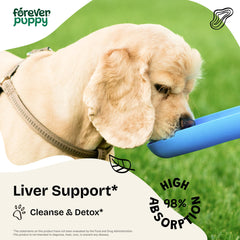 Forever Puppy Milk Thistle Drops pipette delivering easy-to-add daily herbal support in meals