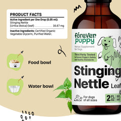 Forever Puppy nettle leaf closeup highlighting natural plant extract