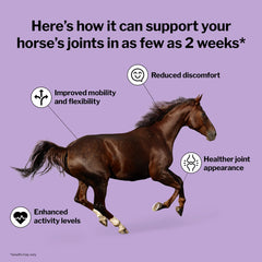 Formula 707 Joint 6in1 feed pellets show palatable alfalfa-based formula for consistent feeding