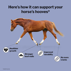 Formula 707 vet and farrier approval badge on packaging.