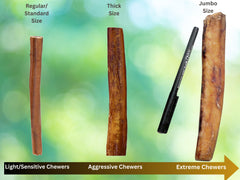 forPups Regular bully sticks close-up of nearly odorless beef for indoor chews