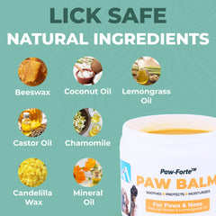 Forticept PAW Balm provides heat protection for pawpads during sunny walks.