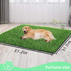 Fortune-star dog-potty-grass indoor-use image highlights versatile indoor training surface.