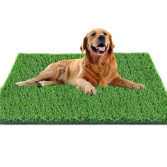 Fortune-star dog potty grass unrolled shows realistic turf for indoor potty areas.