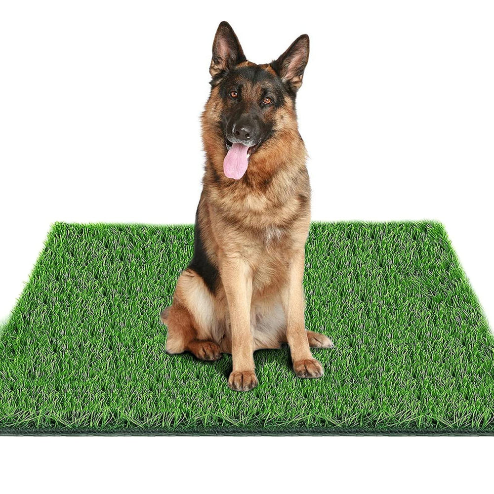 Fortune-star grass pad for dogs indoors outdoors with soft lush texture for year-round use.