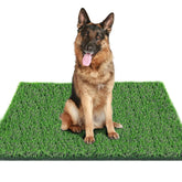Fortune-star grass pad for dogs indoors outdoors with soft lush texture for year-round use.