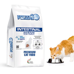 Forza10 Active Intestinal bowl-anchovy: supports sensitive stomach comfort.