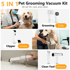 FOTING 12000Pa suction in use removes pet hair from upholstery and carpets efficiently.
