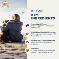 FOUR LEAF ROVER eggshell-membrane-powder: holistic joint health benefits.