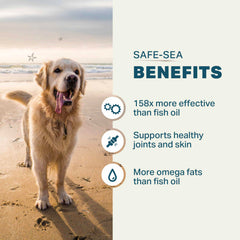 Four Leaf Rover Safe-Sea ingredients graphic highlights ETA, GLA, and astaxanthin benefits.