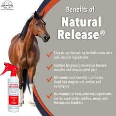 Four Oaks Farm Ventures Natural Release arnica and eucalyptus ingredients label close-up