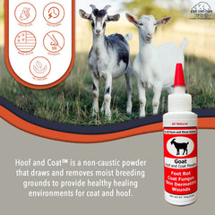 Four Oaks Goat Hoof & Coat Powder dusting on hoof to deter foot rot.