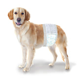 Four Paws Wee-Wee disposable male wrap pack view for daily protection and training.