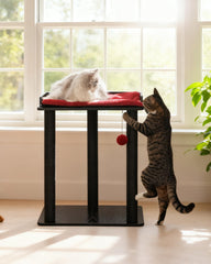 FourFurPets cat tree tower closeup highlighting plush cushion for cozy naps.