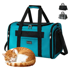 Fourouda blue cat soft sided carrier front view shows roomy space for small pets