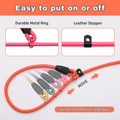 FOVRLZSE light pink slip lead provides a gentle, comfortable fit for training.