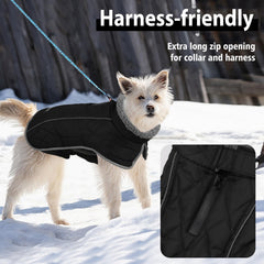 Fragralley dog coat easy on/off with Velcro for quick dressing