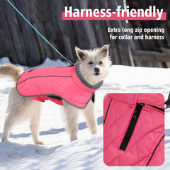Fragralley dog coat easy on off with Velcro adjustments