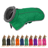 Fragralley dog coat green M front view highlights waterproof warmth for chilly walks.