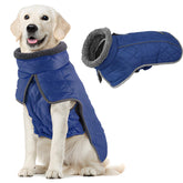 Fragralley large dog coat waterproof shell protects against rain on walks.