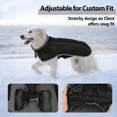 Fragralley dog coat waterproof zipper leash hole for secure outings