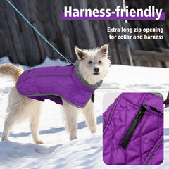 Fragralley coat purple M leash hole for secure outdoor walks.