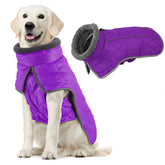 Fragralley dog coat purple M with waterproof shell for rainy-day protection.