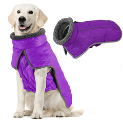 Fragralley dog coat purple M with waterproof shell for rainy-day protection.
