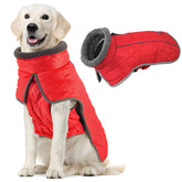 Fragralley dog coat waterproof shell keeps your pup dry during rainy walks.
