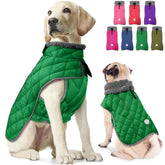 Fragralley dog winter coat with plush collar adds warmth and upscale look