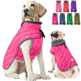 Fragralley dog winter coat with waterproof outer layer keeps your dog dry in wet weather.