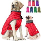 Fragralley dog winter coat water-repellent outer layer keeps pups dry in light rain.
