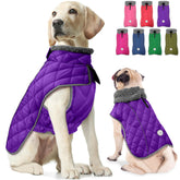 Fragralley dog winter coat with waterproof zipper harness hole keeps your pup dry on rainy walks