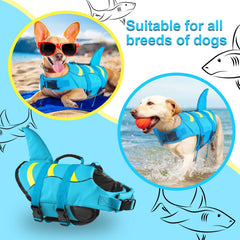 Fragralley shark dog life jacket on a dog at the beach with bright colors.